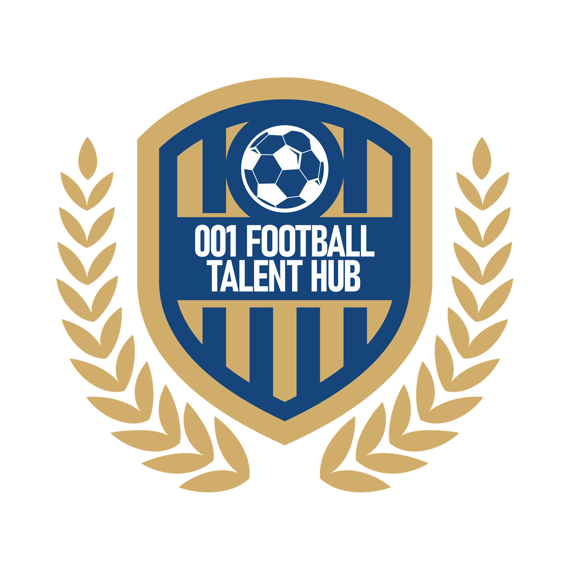 001 Football Talent Hub